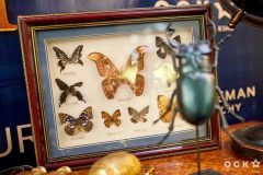 гала-премьера фильма  «Джентльмены»