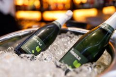 Vision Brunch клуба Марыси Горобец