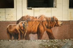 Проект «Чернобыль: Death Town Music»