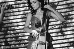 В проекте “Новая жизнь”