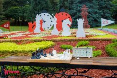 Спивоче-поле