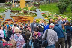 Спивоче-поле