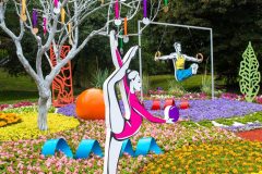 Спивоче-поле