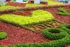 Спивоче-поле