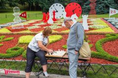 Спивоче-поле