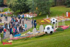 Спивоче-поле