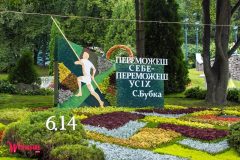 Спивоче-поле