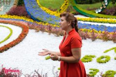 Спивоче-поле