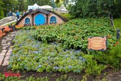 Спивоче-поле