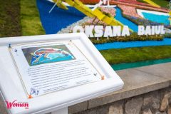 Спивоче-поле