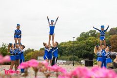 Спивоче-поле