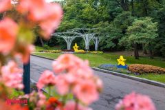 Спивоче-поле