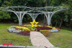 Спивоче-поле