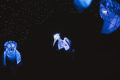 Winterra. Легенда казкового краю