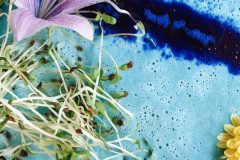 Дрон-технологии в новом меню эко-заведения ZELYONKA