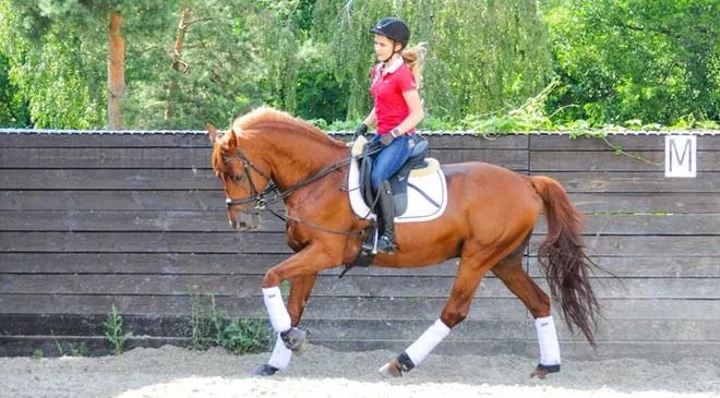 KaVа: «У меня не было страха – только восхищение и удивление» - 1 KaVа: «У меня не было страха – только восхищение и удивление» - 1 - изображение