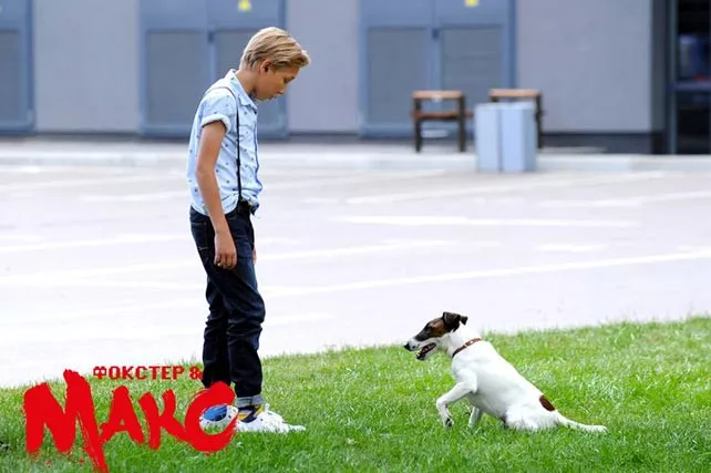 Известный собака-влогер представил проект «Foxter Friendly Cafe» - 1 Известный собака-влогер представил проект «Foxter Friendly Cafe» - 1 - изображение