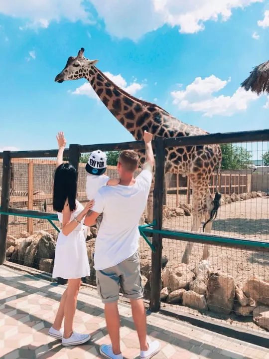 Іра Путівленко: «У моєму блозі ви зустрінете позитив, мотивацію, швидкі рецепти та корисні лайфхаки!» - 4 Іра Путівленко: «У моєму блозі ви зустрінете позитив, мотивацію, швидкі рецепти та корисні лайфхаки!» - 4 - изображение