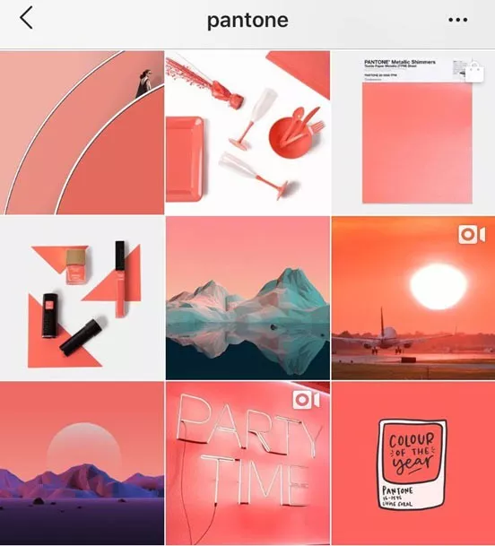 Единый стиль в Instagram: о тренде простым языком и глазами экспертов-блогеров - 1 - изображение