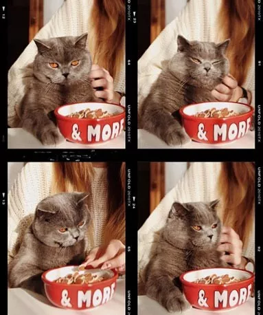 Встигнути все: ТОП-10 речей від Діани Червінської, які повинен зробити в житті кожен - 7 - изображение