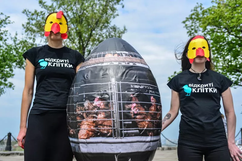 Писанка: жорстока традиція, яку ми маємо переосмислити - 1 Писанка: жорстока традиція, яку ми маємо переосмислити - 1 - изображение