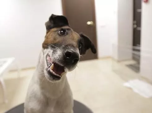 Woman MAGAZINE - 2 Woman Magazine