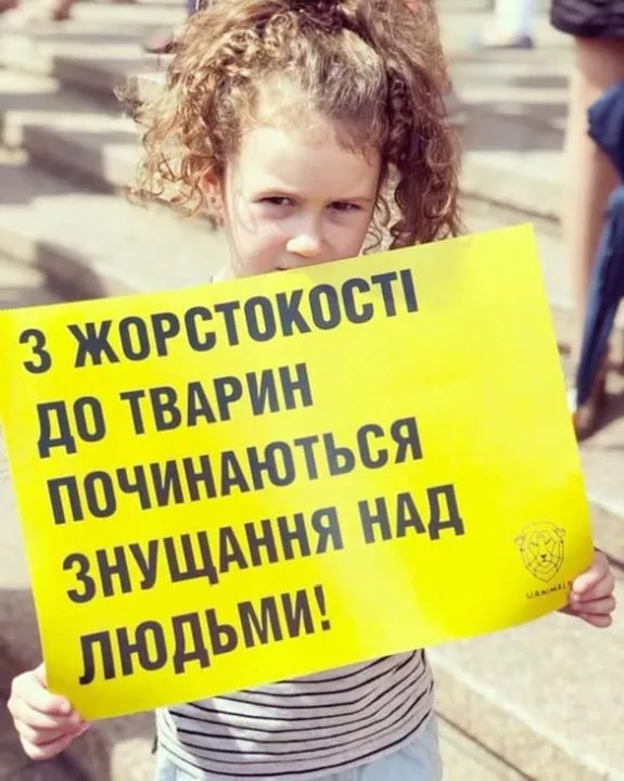 Неделя гуманности: в 24 городах пройдет Всеукраинский марш за животных - 3 Неделя гуманности: в 24 городах пройдет Всеукраинский марш за животных - 3 - изображение