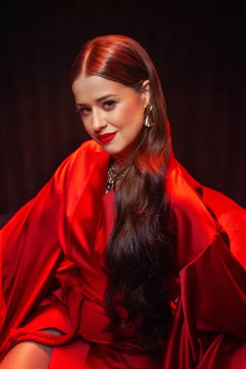 Самое странное празднование Нового года: артисты о неловких ситуациях - 4 Самое странное празднование Нового года: артисты о неловких ситуациях - 4 - изображение