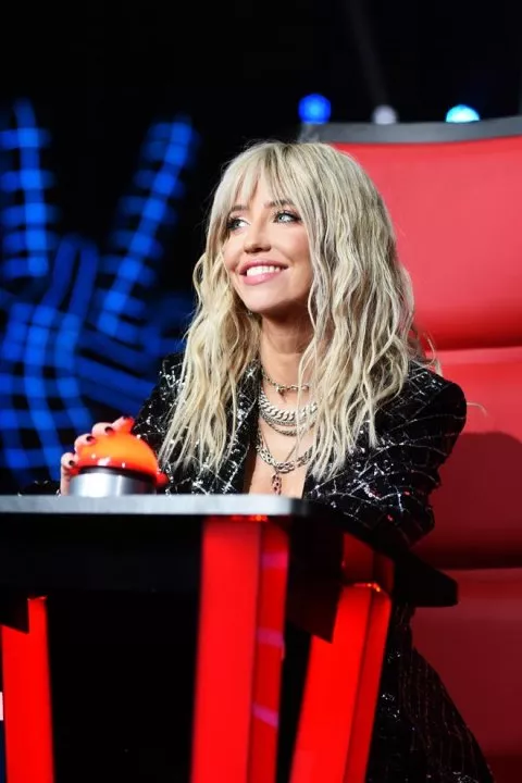 Стали известны имена тренеров «Голосу країни-11» на «1+1» - 1 Стали известны имена тренеров «Голосу країни-11» на «1+1» - 1 - изображение