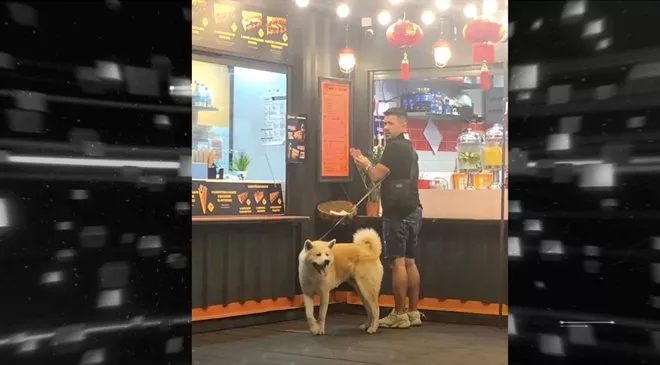 Разоблачение: чем занимается экс-супруг Ани Лорак после развода - 1 Разоблачение: чем занимается экс-супруг Ани Лорак после развода - 1 - изображение