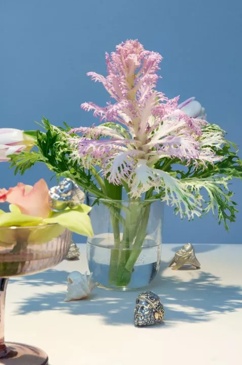 GASANOVA x GEMINI: ювелирная коллекция перстней «13 богов» - 2 - изображение