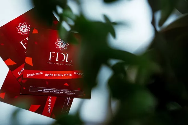 Kamana і бренду D.OLYA