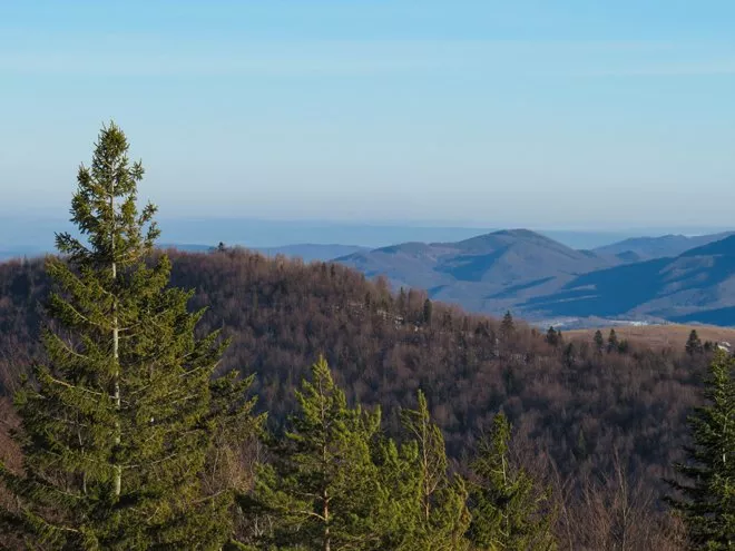 Дмитрий Комаров строит дачу в Карпатском посёлке - 1 Дмитрий Комаров строит дачу в Карпатском посёлке - 1 - изображение