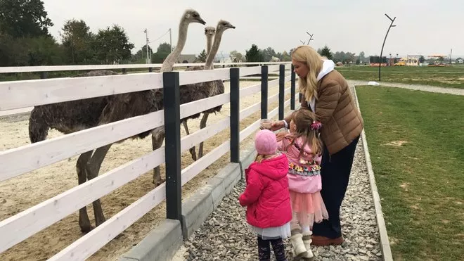 Санти Дімопулос та Юлії Саніної
